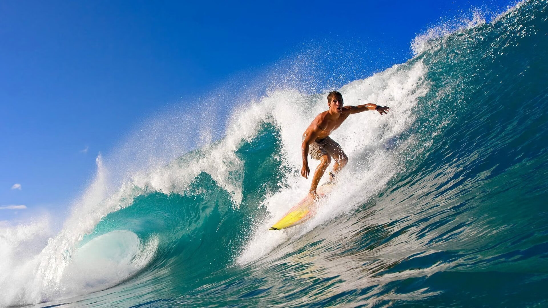 2026世界杯之夜,霍勒迪,从边缘人到救世主的史诗